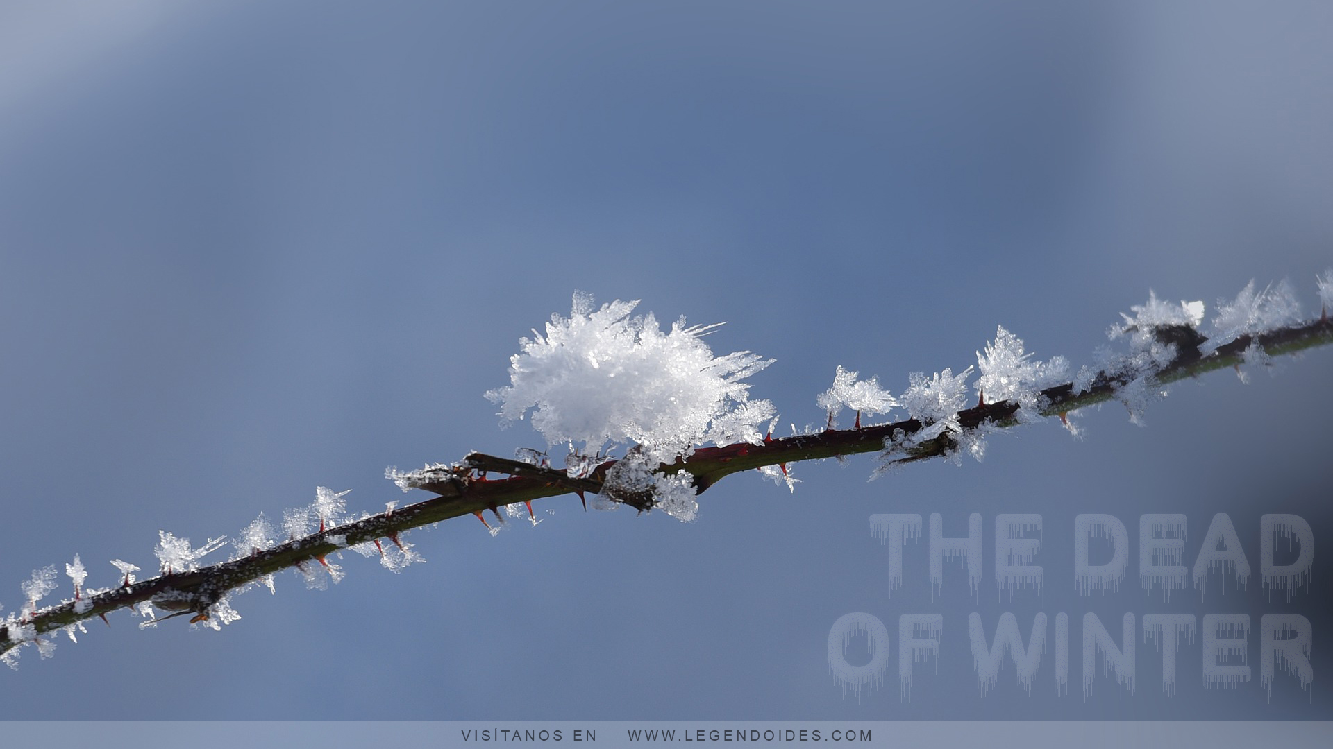 the-dead-of-winter-legendoides